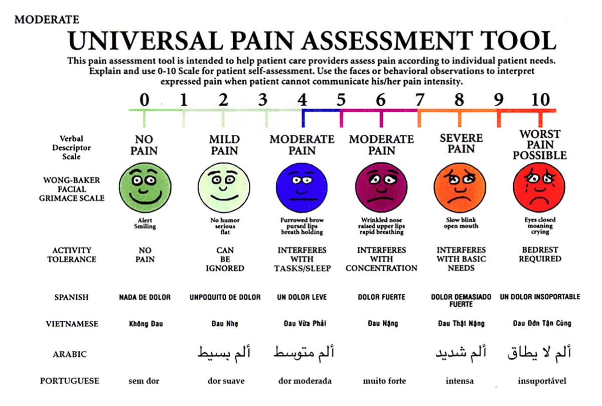 Universal Pain Assessment Tool